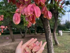 -汇泉广场