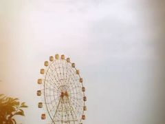 -金卉庄园
