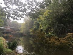 -张鸟园农家乐(张鸟园店)