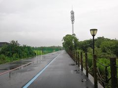 -上海国际音乐村