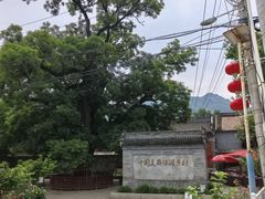 -康陵正德春饼宴26号