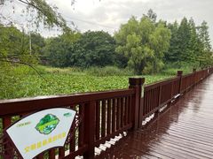 -苏州太湖国家湿地公园