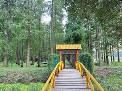 -渌洋湖湿地公园