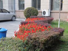 -辽宁大学(崇山校区)
