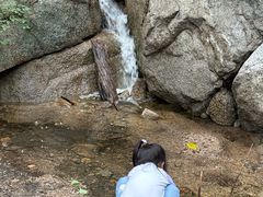 -大岭沟猕猴桃谷风景区