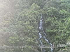 -磐安舞龙峡景区