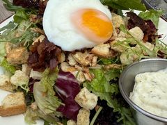 -Tubestation站点比萨(五道营店)