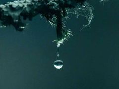 -花溪公园