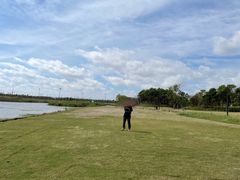 -春花秋色城市公园