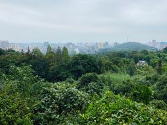 -潜山国家森林公园