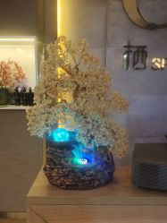 -栖SPA·ONDA ·海菲秀·皑皑科技美肤中心
