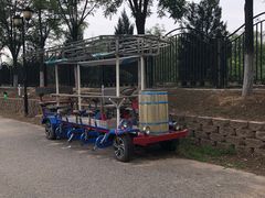 -永定河休闲森林公园