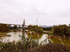 -琅岐红光湖公园