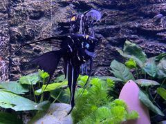 -上海海洋水族馆