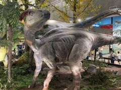 -湖南省地质博物馆