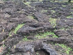 -海口火山口国家地质公园