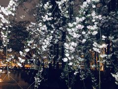 -Awfully Chocolate(嘉里城店)