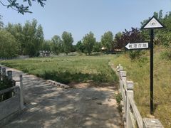 -青龙湖公园