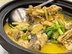 黄焖小白鲨-饭怕鱼·黄焖鲟龙鱼(湖大店)
