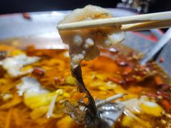 -雲蜀龙阁·金牌水煮鱼(方庄店)