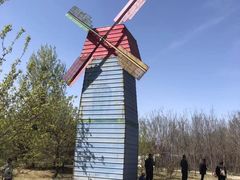 -洛阳郁金香牡丹园