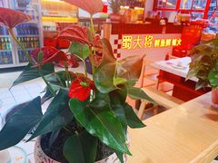 -蛙一刀·麻椒鱼火锅(金仙桥店)