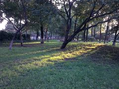 -辽宁大学(崇山校区)