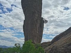 -磬锤峰森林公园