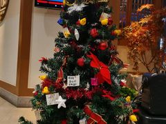 -首秀·四川料理(星耀101店)
