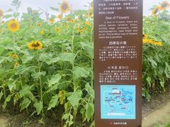 -歌斐颂巧克力小镇