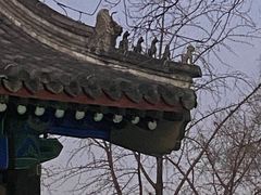 -北京国子监胡同