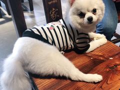 -猪腰一家·地道佛山菜(里水店)