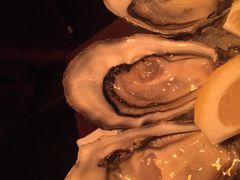 -斯普汇生蚝牛排馆(中骏世界城店)