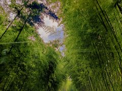 -苏州环秀晓筑养生度假村