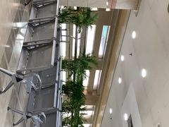 -天津市口腔医院(和平本部)