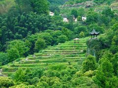 -石台牯牛降景区
