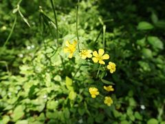 -宁波五龙潭景区