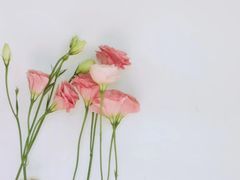 -素描餐厅(灵隐天竺店)