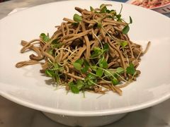 香椿苗拌黑百叶-雀蓝川菜(星悦汇店)