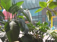-阳光世纪奥特莱斯店
