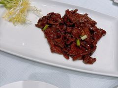 -新雅粤菜馆(南京东路店)