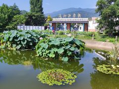 -国家植物园南园