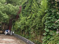 -溪畔•新徽菜(碧湖云溪店)