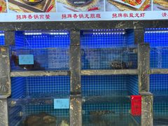 -鑫鸿达·海鲜闽菜热炒小馆(中山路店)