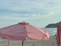 -西涌国际滨海旅游区