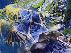 -上海海洋水族馆