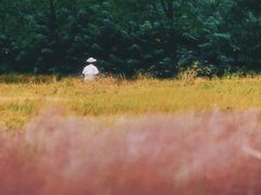 -汉长安城未央宫国家考古遗址公园