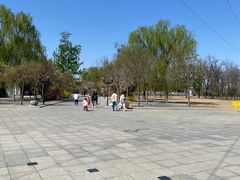 -杨柳青庄园