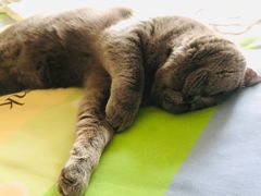 -美联众合24小时·皮肤科·外科·全科诊疗中心(华苑分院)