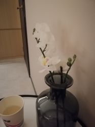 -恒美雅轩·品牌直营连锁